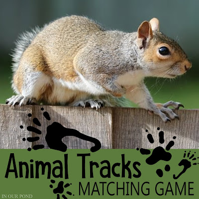 Animal Tracks Matching Game in an Altoid Tin // In Our Pond // kids games // DIY // printable // free printable // crafts // camping // summer camp // learning // summer learning // homeschool // montessori