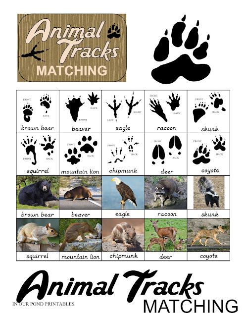Animal Tracks Matching Game in an Altoid Tin // In Our Pond // kids games // DIY // printable // free printable // crafts // camping // summer camp // learning // summer learning // homeschool // montessori